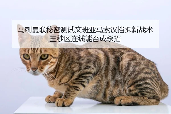 ma-ci-xia-lian-mi-mi-ce-shi-wen-ban-ya-ma-suo-han-dang-chai-xin-zhan-shu-san-miao-qu-lian-xian-neng-fou-cheng-sha-zhao-2-446.jpg
