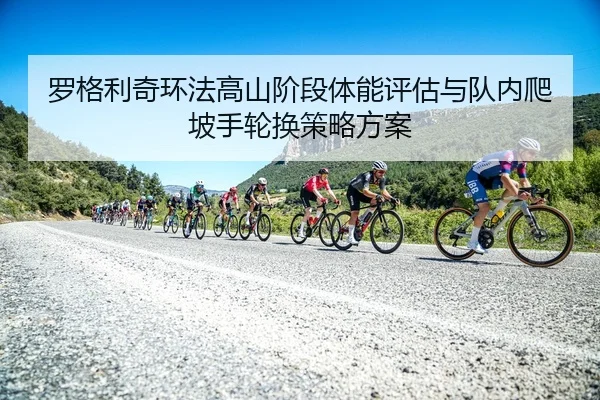 luo-ge-li-qi-huan-fa-gao-shan-jie-duan-ti-neng-ping-gu-yu-dui-nei-pa-po-shou-lun-huan-ce-lve-fang-an-2-403.jpg