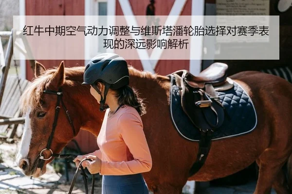 红牛中期空气动力调整与维斯塔潘轮胎选择对赛季表现的深远影响解析